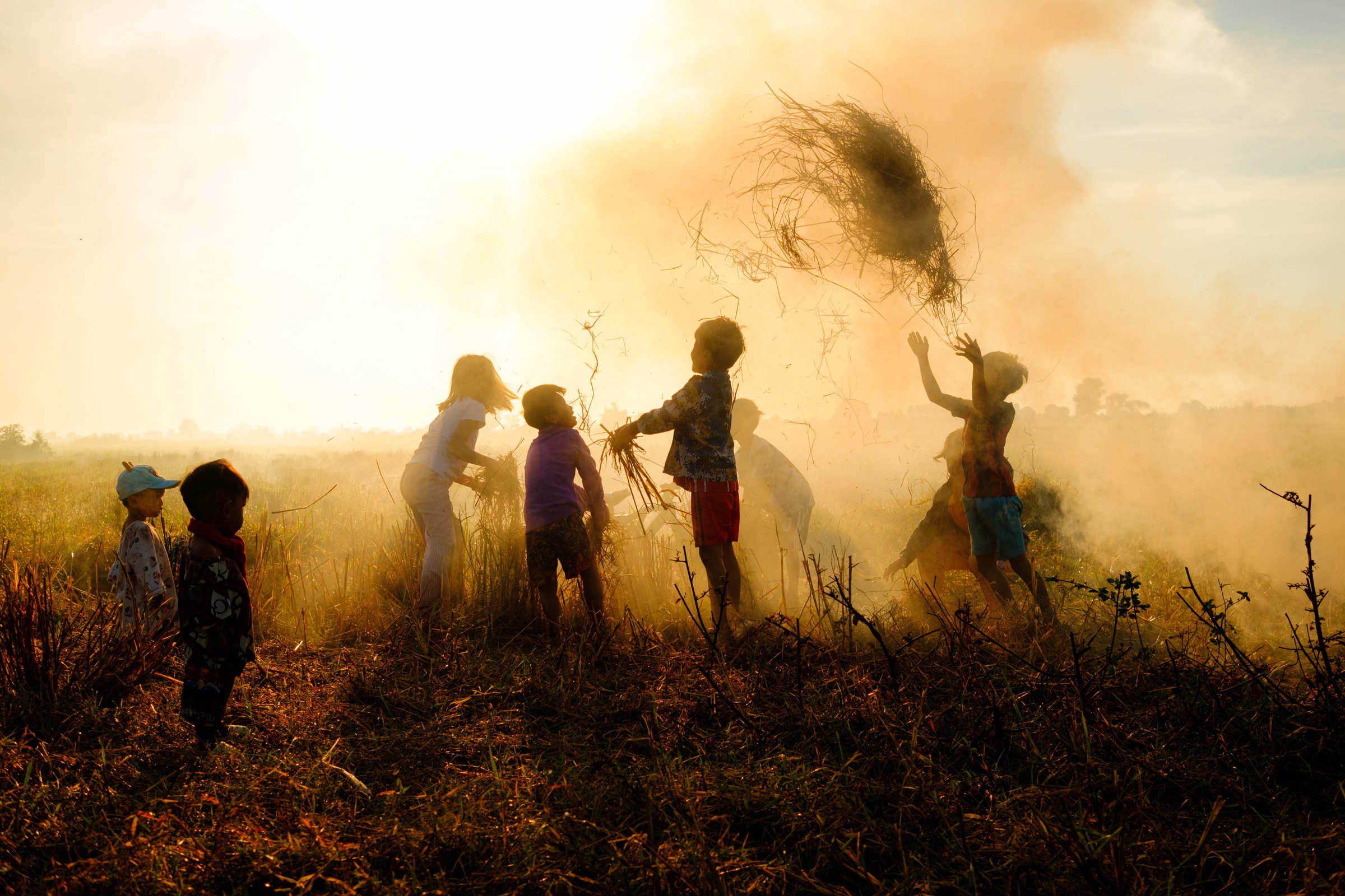 Travail agricole dans une rizière cambodgienne